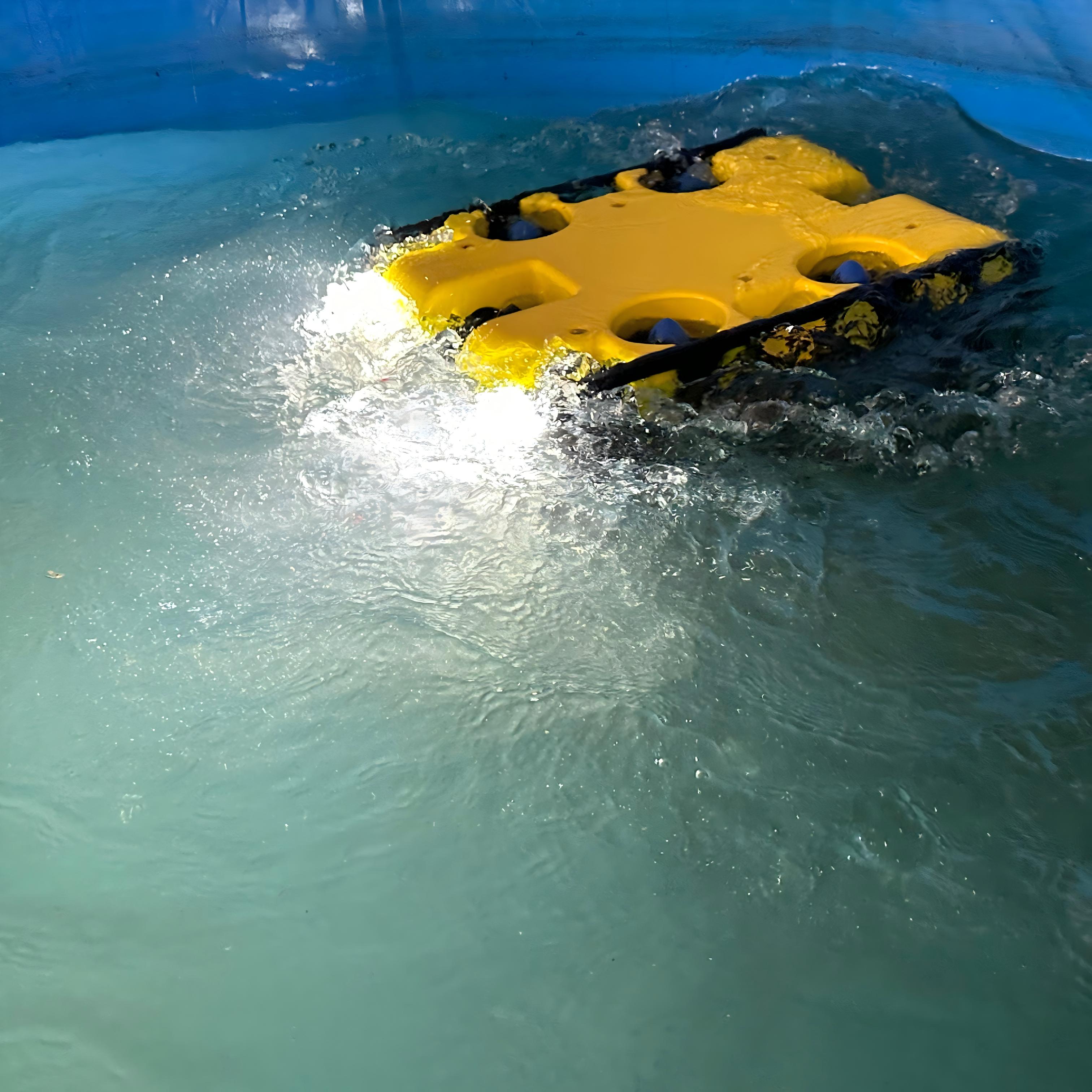 Fish Cage Inspection ROV for Net and Mooring Checks solution image